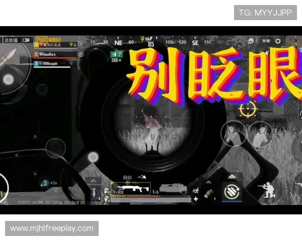 地铁逃生pupg国际版联机对战技巧与团队合作策略推荐